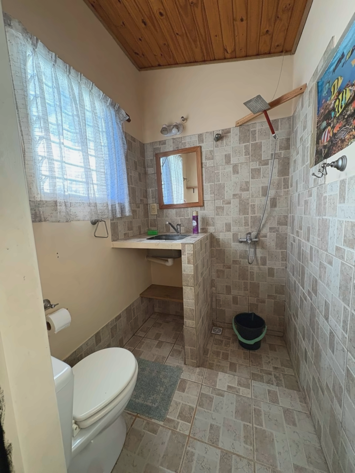 Segundo baño interior con inodoro, lavabo y ducha abierta.